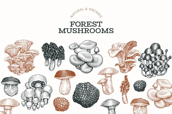 Modèle de conception de champignons. Illustration vectorielle dessinée à la main. E — Image vectorielle