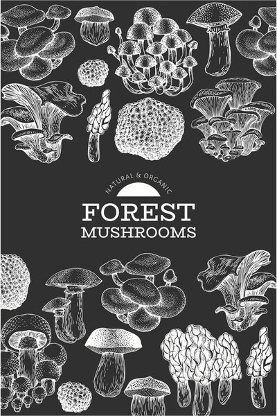 Mushroom design template. Hand drawn vector food illustration on