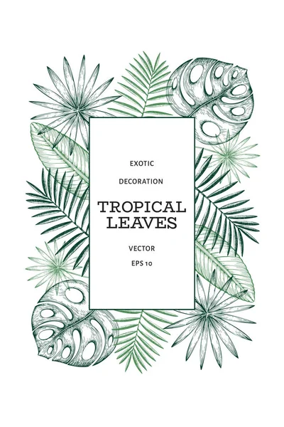 Tropiska växter banner design. Handritad tropisk sommar exotisk — Stock vektor