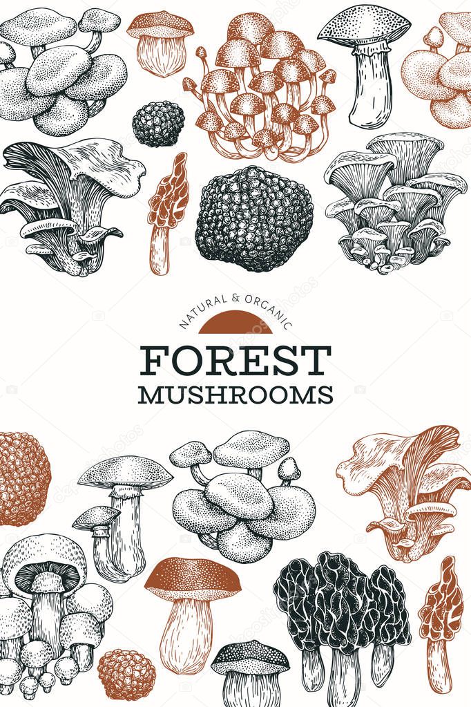 Mushroom design template. Hand drawn vector food illustration. E