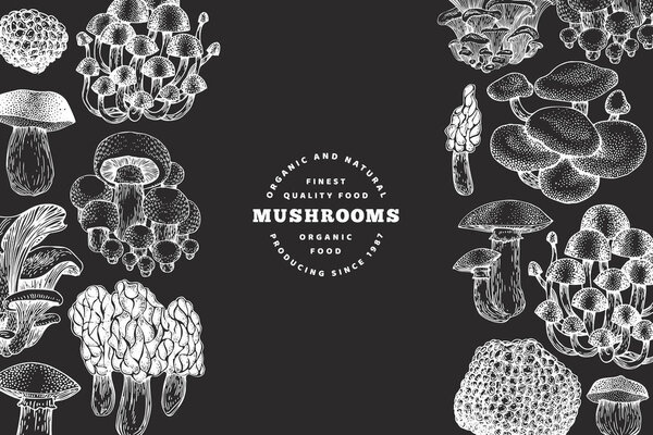 Mushrooms design template. Vector hand drawn illustrations on ch