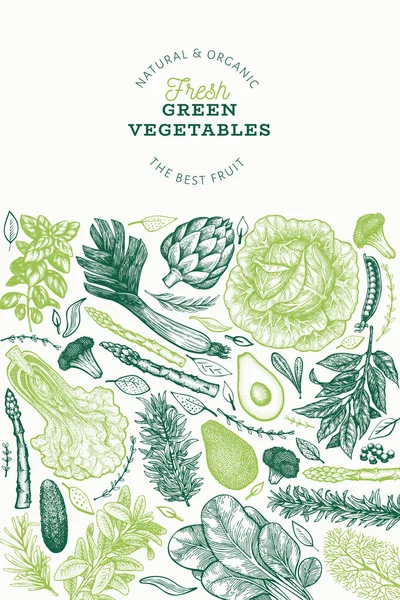Зеленые овощи дизайн шаблон. Векторная подсветка — стоковый вектор