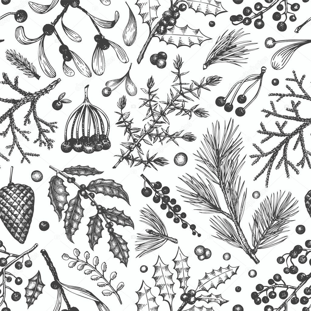 Christmas seamless pattern. Hand drawn vector winter plants back