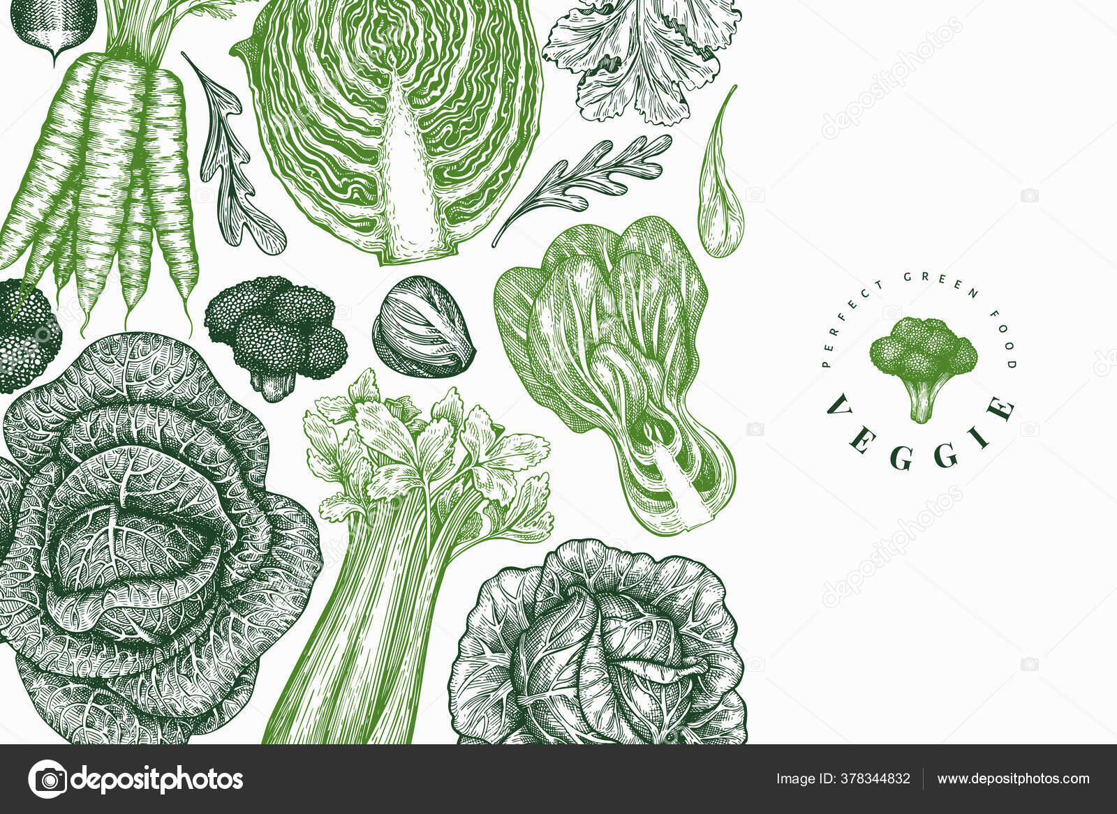 Watercolor Green Vegetables Clipart – MasterBundles
