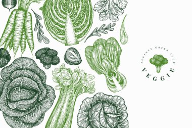 El çizimi sebze tasarımı. Organik taze besin taşıyıcı afiş şablonu. Klasik sebze arka planı. İşlenmiş stil botanik çizimler.