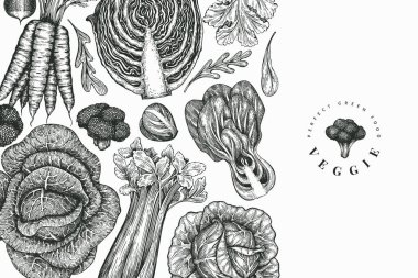 El çizimi sebze tasarımı. Organik taze besin taşıyıcı afiş şablonu. Klasik sebze arka planı. İşlenmiş stil botanik çizimler.