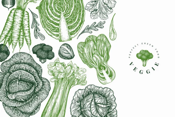 手描きスケッチ野菜デザイン オーガニックフレッシュフードベクトルバナーテンプレート ヴィンテージ野菜の背景 彫刻風植物図 — ストックベクタ