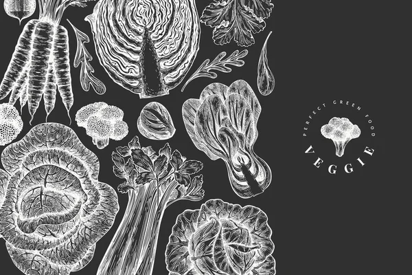 Dibujo Dibujado Mano Diseño Verduras Plantilla Banner Alimentos Frescos Orgánicos — Vector de stock