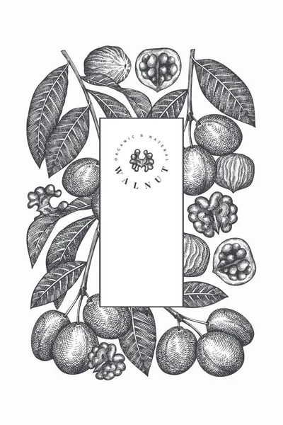 手書きのスケッチクルミのデザインテンプレート 有機食品ベクトル図 ヴィンテージナッツイラスト エングレービングスタイル植物の背景 — ストックベクタ