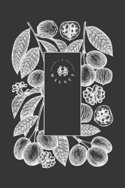 Ручний Ескіз Шаблону Дизайну Горіха Векторні Ілюстрації Органічної Їжі Крейдяній — стоковий вектор