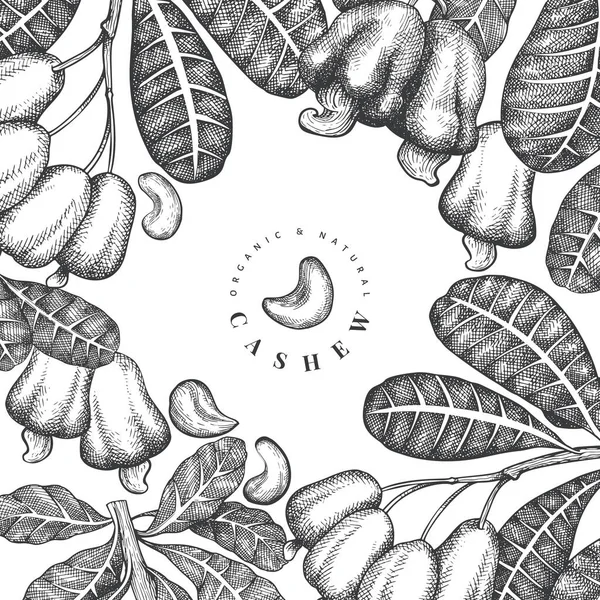Handritad Skiss Cashew Design Mall Ekologisk Mat Vektor Illustration Vit — Stock vektor