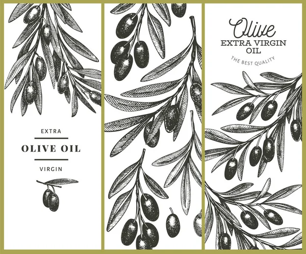 Olive Branch Design Template Hand Drawn Vector Food Illustration Engraved — ストックベクタ