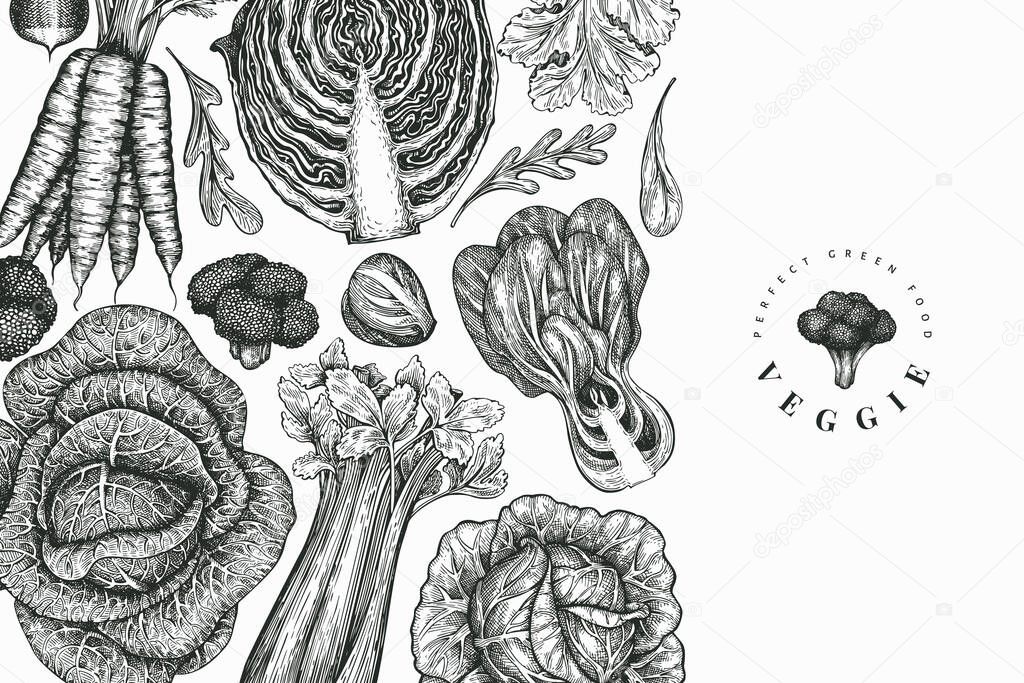 Hand drawn sketch vegetables design. Organic fresh food vector banner template. Vintage vegetable background. Engraved style botanical illustrations.