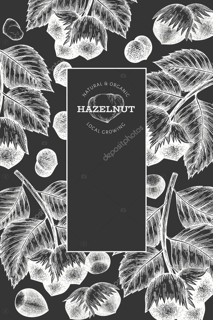 Hand drawn sketch hazelnut design template. Organic food vector illustration on chalk board. Retro nut illustration. Engraved style botanical background.