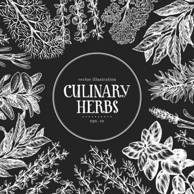 El yapımı aşçılık bitkileri tasarım şablonu. Tebeşir tahtasında vektör çizimleri. Antika gıda arka planı