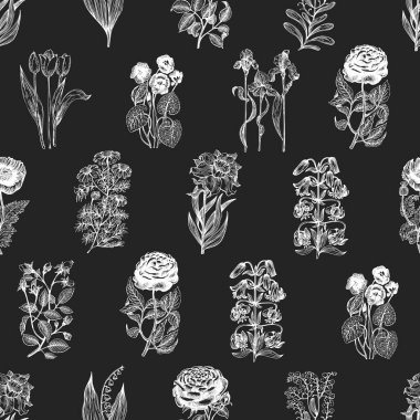 El çizimi, kusursuz çiçek deseni. Tebeşirle çizilmiş vektör çiçekleri. Klasik botanik illüstrasyon