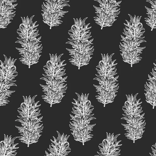 Modèle Sans Couture Estragon Dessiné Main Illustrations Herbes Vectorielles Sur — Image vectorielle