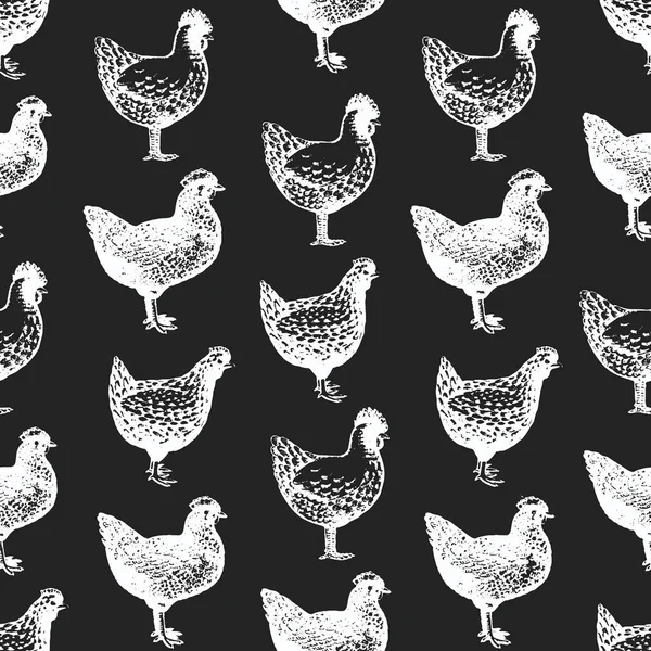 Hand Drawn Poultry Seamless Pattern Vector Chicken Illustrations Chalk Board — Stock Vector