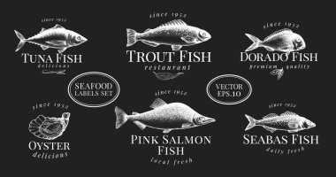 Deniz mahsullü etiketler. Retro, mağazalar ve pazarlar için şablon fiyat etiketleri belirledi. Tebeşir tahtasında vektör çizimleri.