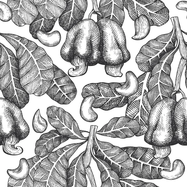 手描きスケッチカシューシームレスパターン 白い背景の有機食品ベクトル図 レトロなナッツイラスト エングレービングスタイル植物の背景 — ストックベクタ
