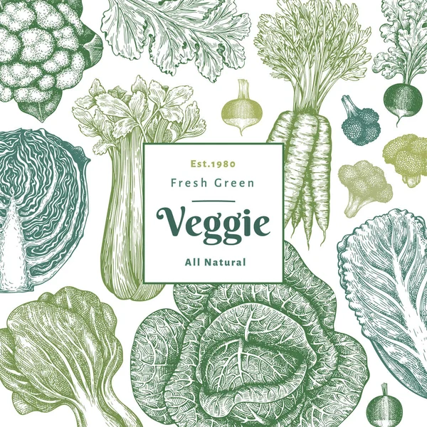 Дизайн Овочів Намальованих Вручну Векторний Шаблон Органічної Свіжої Їжі Вінтажний — стоковий вектор