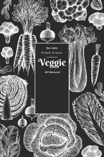 손으로 디자인 유기농 플래너 템플릿 빈티지 판위에 형태의 식물학적 삽화들 — 스톡 벡터