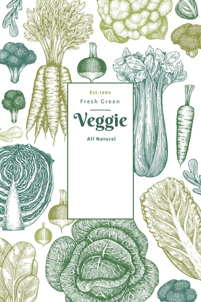 手绘素描蔬菜设计 有机新鲜食品载体模板 老式蔬菜背景 雕刻风格的植物学插图 — 图库矢量图片