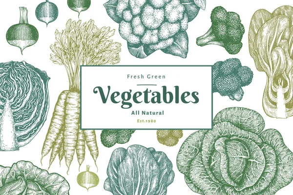 Çizimi Sebze Tasarımı Organik Taze Besin Taşıyıcı Afiş Şablonu Klasik — Stok Vektör