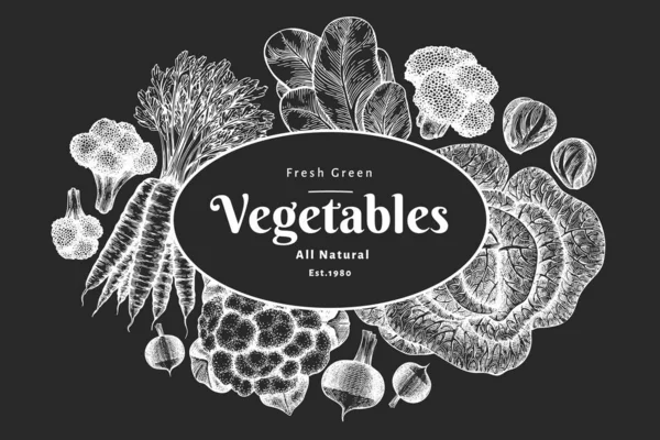 手绘素描蔬菜设计 有机新鲜食品载体模板 老式蔬菜背景 粉笔板上雕刻的植物图解 — 图库矢量图片