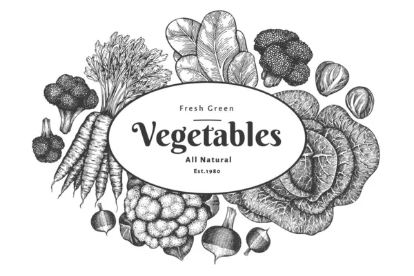 手绘素描蔬菜设计 有机新鲜食品载体模板 老式蔬菜背景 雕刻风格的植物学插图 — 图库矢量图片