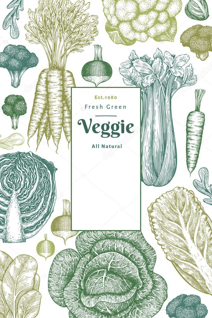 Hand drawn sketch vegetables design. Organic fresh food vector banner template. Vintage vegetable background. Engraved style botanical illustrations.