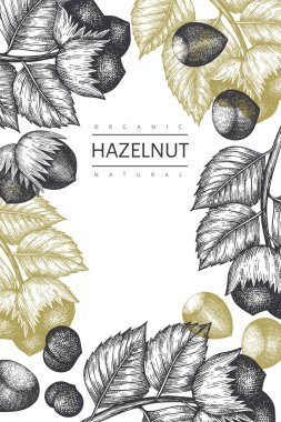 El çizimi fındık tasarımı şablonu. Beyaz arka planda organik gıda vektör illüstrasyonu. Retro fındık çizimi. İşlenmiş biçim botanik arkaplanı.