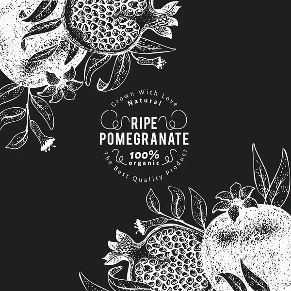 Pomegranate Fruit Design Template Hand Drawn Vector Fruit Illustration Chalk — Stock Vector