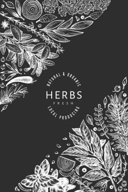 Mutfak otları afiş şablonu. Tebeşir tahtasında elle çizilmiş klasik botanik çizimi. İşlemeli stil. Retro gıda arka planı.