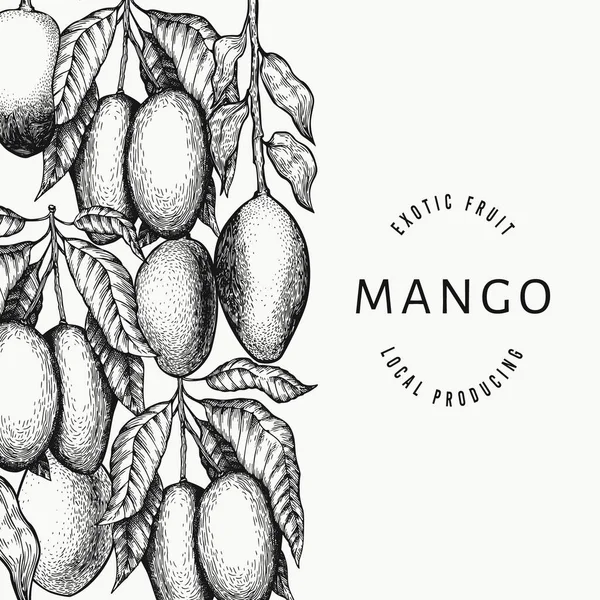 Modello Design Del Mango Illustrazione Frutta Tropicale Vettoriale Disegnata Mano — Vettoriale Stock