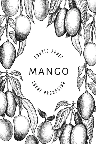 Mango Design Vorlage Handgezeichnete Vektordarstellung Tropischer Früchte Gravierte Frucht Retro — Stockvektor