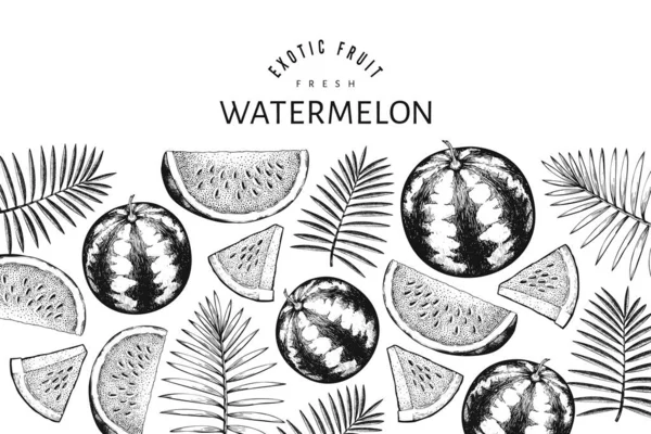 Wassermelonen Melonen Und Tropische Blätter Design Vorlage Handgezeichnete Vektor Exotische — Stockvektor