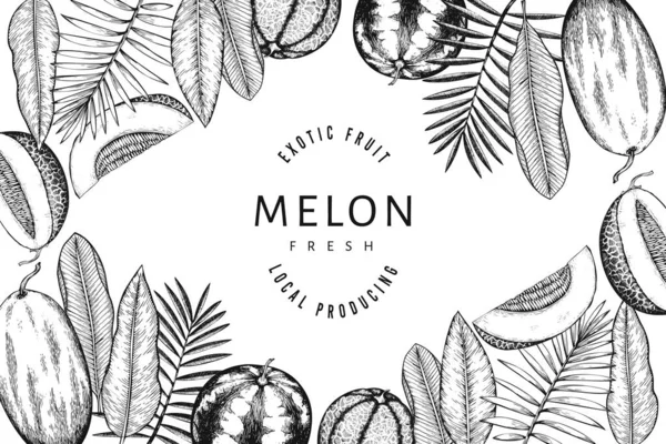 Vattenmeloner Meloner Och Tropiska Blad Formgivningsmall Handritad Vektor Exotisk Frukt — Stock vektor