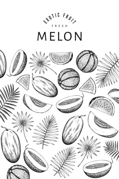 Angurie Meloni Foglie Tropicali Modello Design Illustrazione Frutta Esotica Vettoriale — Vettoriale Stock