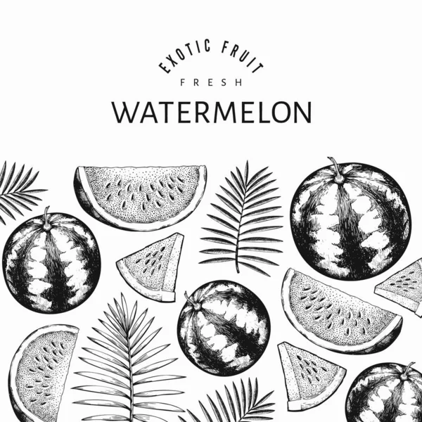 Plantilla Diseño Sandías Melones Hojas Tropicales Vector Dibujado Mano Ilustración — Archivo Imágenes Vectoriales