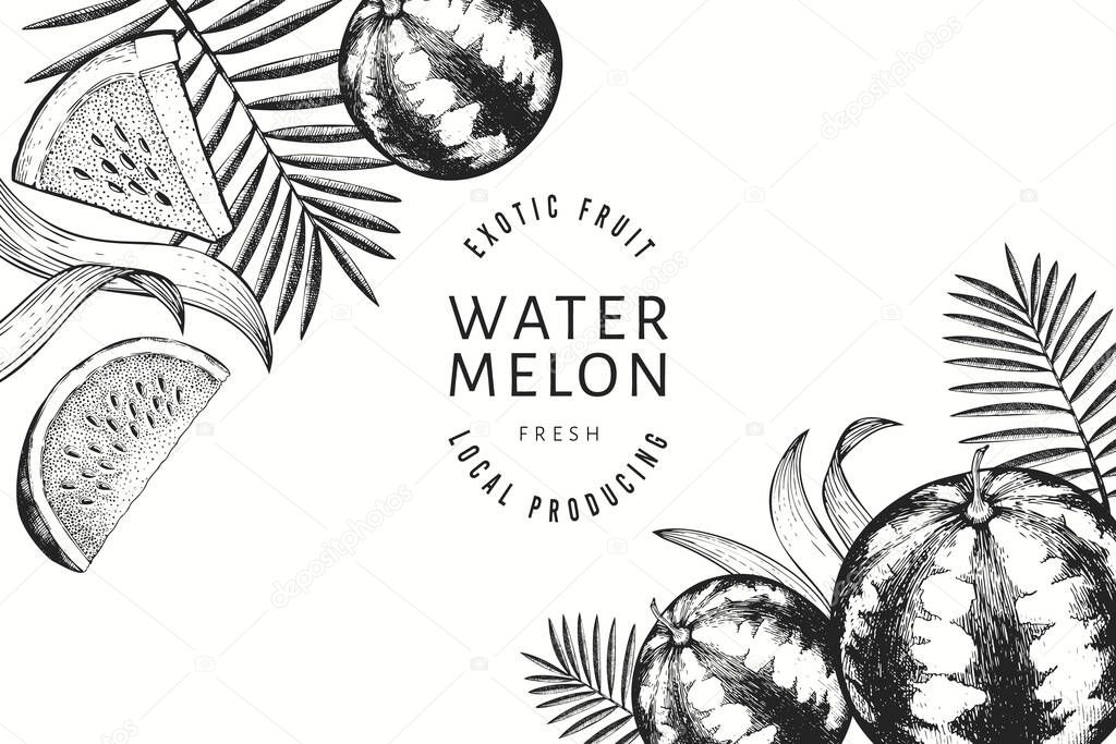 Watermelons, melons and tropical leaves design template. Hand drawn vector exotic fruit illustration. Engraved style fruit frame. Vintage botanical banner.