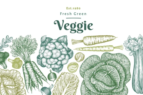 手绘素描蔬菜设计 有机新鲜食品载体模板 复古蔬菜背景 雕刻风格的植物学插图 — 图库矢量图片