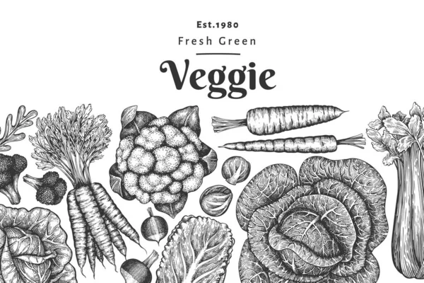 手绘素描蔬菜设计 有机新鲜食品载体模板 复古蔬菜背景 雕刻风格的植物学插图 — 图库矢量图片