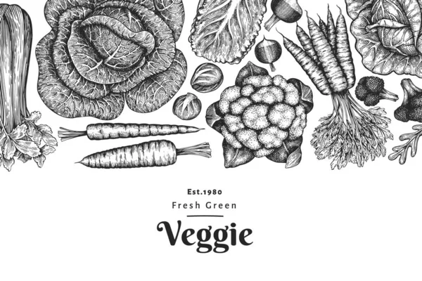 手描きスケッチ野菜デザイン オーガニックフレッシュフードベクトルバナーテンプレート レトロな野菜の背景 彫刻風植物図 — ストックベクタ