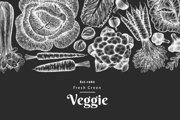 Dibujo Dibujado Mano Diseño Verduras Plantilla Banner Alimentos Frescos Orgánicos — Vector de stock