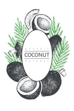 Palmiye yapraklı hindistan cevizi tasarım şablonu. El çizimi vektör besin çizimi. İşlenmiş stil egzotik bitki. Retro botanik arka plan.