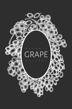 Üzüm tasarımı şablonu. Tebeşir tahtasında el çizimi üzümlü üzüm çizimi. İşlenmiş stil geçmişe dönük botanik afişi.