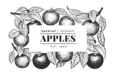 Apple şubeleri şablon dizayn eder. El çizimi vektör bahçesi meyve çizimi. İşlenmiş stil meyve çerçevesi. Klasik botanik bayrağı.