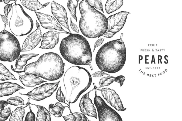 Modèle Conception Poire Illustration Fruits Jardin Vectoriels Dessinés Main Cadre — Image vectorielle