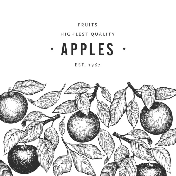 Apple Filialer Design Mall Handritad Vektor Trädgård Frukt Illustration Graverad — Stock vektor